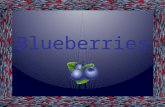 Blueberries. True Blue Facts  Genus Vaccinium, section Cyanoccus.  Blueberries have many health benefits.  Blueberries have antioxidant compounds that.