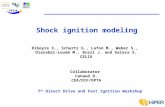 Shock ignition modeling Ribeyre X., Schurtz G., Lafon M., Weber S., Olazabal-Loumé M., Breil J. and Galera S. CELIA Collaborator Canaud B. CEA/DIF/DPTA.