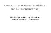 Computational Neural Modeling and Neuroengineering The Hodgkin-Huxley Model for Action Potential Generation.