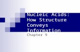 Nucleic Acids: How Structure Conveys Information Chapter 9.