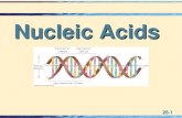 28-1 Nucleic Acids. 28-2 Nucleic Acids Components  Nucleic acid:  Nucleic acid: A biopolymer containing three types of monomer units. Heterocyclic aromatic.