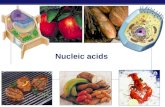 Nucleic acids 2006-2007 Nucleic Acids Information storage.