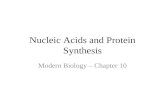 Nucleic Acids and Protein Synthesis Modern Biology – Chapter 10