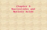 Chapter 9 Nucleotides and Nucleic Acids. 1. The nucleic acids, deoxyribonucleic acid (DNA) and ribonucleic acid (RNA), are polymers of nucleotide units.