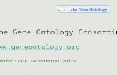 The Gene Ontology Consortium  Jennifer Clark, GO Editorial Office.