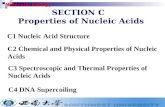 SECTION C Properties of Nucleic Acids C1 Nucleic Acid Structure C2 Chemical and Physical Properties of Nucleic Acids C3 Spectroscopic and Thermal Properties