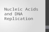Nucleic Acids and DNA Replication. 1. What is the role of nucleic acid? 2. What is the monomer of a nucleic acid? 3. The monomer of a nucleic acid is.