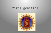 Viral genetics. A sense of size Comparing – Eukaryote – Bacterium – virus.