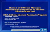 Human and Rhesus Macaque Immunologic Responses To Anthrax Vaccine Adsorbed CDC Anthrax Vaccine Research Program Conrad P. Quinn Chief, MPIR Laboratory.