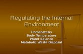 Regulating the Internal Environment Homeostasis Body Temperature Water Balance Metabolic Waste Disposal.