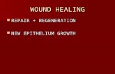 WOUND HEALING REPAIR + REGENERATION REPAIR + REGENERATION NEW EPITHELIUM GROWTH NEW EPITHELIUM GROWTH