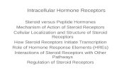 Intracellular Hormone Receptors Steroid versus Peptide Hormones Mechanism of Action of Steroid Receptors Cellular Localization and Structure of Steroid.