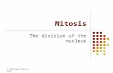 Mitosis The division of the nucleus © 2010 Paul Billiet ODWSODWS.