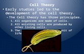 Cell Theory Early studies led to the development of the cell theory. Early studies led to the development of the cell theory. – The Cell theory has three