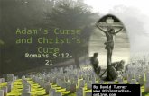 Adam’s Curse and Christ’s Cure By David Turner .