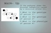 Warm- Up If the pedigree shows the disorder hemophilia caused by a recessive allele (h)… 1.What is the genotype of person 1? 2.What is the genotype of.