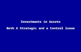 Investments in Assets Both A Strategic and a Control issue.