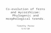 Co-evolution of ferns and mycorrhizae: Phylogenic and morphological trends. Timothy Perez 5/4/10.