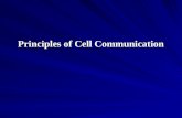 Principles of Cell Communication. Extracellular signal molecules bind to specific receptors Cells communicate by hundreds of signal molecules. These include.