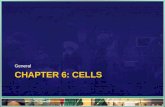 CHAPTER 6: CELLS General. Cells: General CHAPTER 6: CELLS Compartments.