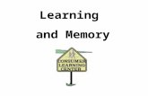 Learning and Memory. What is Learning? A change in Behaviour caused by experience. What is Consumer learning?