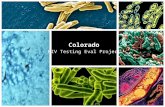 Colorado HIV Testing Eval Project 1. Background to HIV Testing Eval Project Worked 10+ years in HIV and STI epidemiology, impact mitigation, policy development.