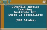 Juvenile Justice Training Institute for State JJ Specialists (300 Slides)
