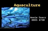 Aquaculture Annie Doerr EEES 4730 .
