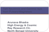Arunava Bhadra High Energy & Cosmic Ray Research Ctr. North Bengal University TeV Neutrinos and Gamma rays from Pulsars/Magnetars.
