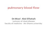 pulmonary blood flow Dr.Wael Abd Elfattah Lecturer of chest disease faculty of medicine - Ain Shams univeristy.