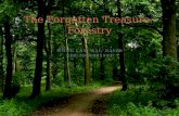 WONG LAM WAI, DAVID UID:2008085991 The Forgotten Treasure– Forestry.