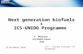 Next generation biofuels & ICS-UNIDO Programme S. Miertus ICS-UNIDO Trieste Italy 26 November 2010 FIT - Tavola rotonda "Le biomasse"