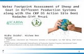 Water Footprint Assessment of Sheep and Goat in Different Production Systems along with the CRP DS Action Site Beni Kedache-Sidi Bouzid (Tunisia) Ridha.