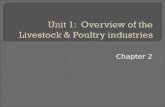 Chapter 2.  Role & impact of U.S. livestock industry  International trade influences on animal agriculture industry  Overviews of animal livestock.