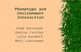 Phenotype and Environment Interaction Chad Bonstead Denise Fancher Julie Kondoff Matt Luensmann.