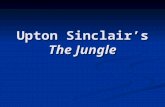 Upton Sinclair’s The Jungle. Who was Upton Sinclair?