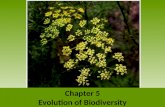 Chapter 5 Evolution of Biodiversity. Geologic Time Scale Earth’s chemical and biological history can be described along a timeline- the geologic time.