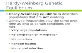 Hardy-Weinberg Genetic Equilibrium ï‚¨ Hardy-Weinberg equilibrium describes populations that are not evolving ï‚¨ Genotype frequencies stay the same over time