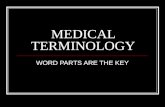 MEDICAL TERMINOLOGY WORD PARTS ARE THE KEY. PREFIX - ROOT - SUFFIX All medical terms can be broken down into word parts. The three word parts that you.