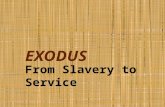 EXODUS From Slavery to Service. References Exodus (from series Interpretation: A Bible Commentary for Teaching and Preaching) Terence E. Fretheim, Westminister.