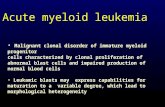 Acute myeloid leukemia Malignant clonal disorder of immature myeloid progenitor cells characterized by clonal proliferation of abnormal blast cells and.