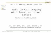 1 Anikitos GAROFALAKIS CEA, I 2 BM, SHFJ, LIME, INSERM U803 Wp6: Cancer imaging with focus on breast cancer Anikitos GAROFALAKIS CEA, DSV, I 2 BM, SHFJ,