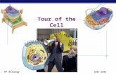 AP Biology 2007-2008 Tour of the Cell AP Biology Prokaryote bacteria cells Types of cells Eukaryote animal cells Eukaryote plant cells