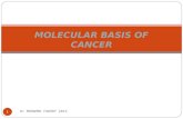 Dr MOHAMED FAKHRY 2015 1 MOLECULAR BASIS OF CANCER.