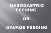 NASOGASTRIC FEEDING OR GAVAGE FEEDING. DEFINITION.