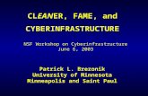 CLEANER, FAME, and CYBERINFRASTRUCTURE Patrick L. Brezonik University of Minnesota Minneapolis and Saint Paul NSF Workshop on Cyberinfrastructure June.