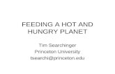 FEEDING A HOT AND HUNGRY PLANET Tim Searchinger Princeton University tsearchi@princeton.edu.