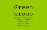 Green Group Kathryn Knopinski Kara Shelden Kim Fink Justin Sneed Mark Shreve.
