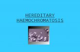 HEREDITARY HAEMOCHROMATOSIS. What Is It? An inherited disease characterised by excess iron deposition in various organs Leads to eventual fibrosis and.