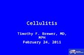 Cellulitis Timothy F. Brewer, MD, MPH February 24, 2011.
